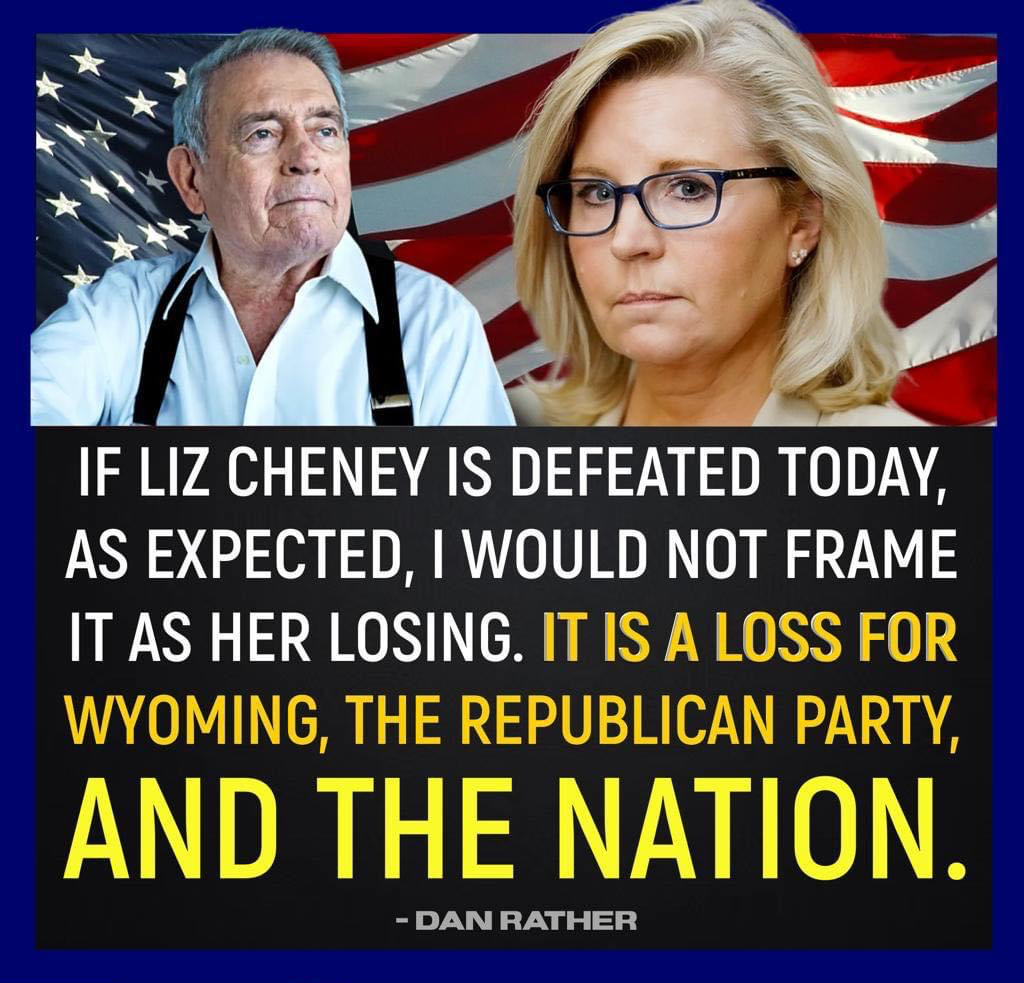 High Quality If Liz Cheney is defeated Blank Meme Template