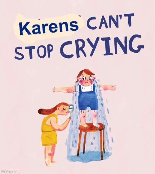 Wow: someone can use this template. | Karens | image tagged in riley can t stop crying | made w/ Imgflip meme maker