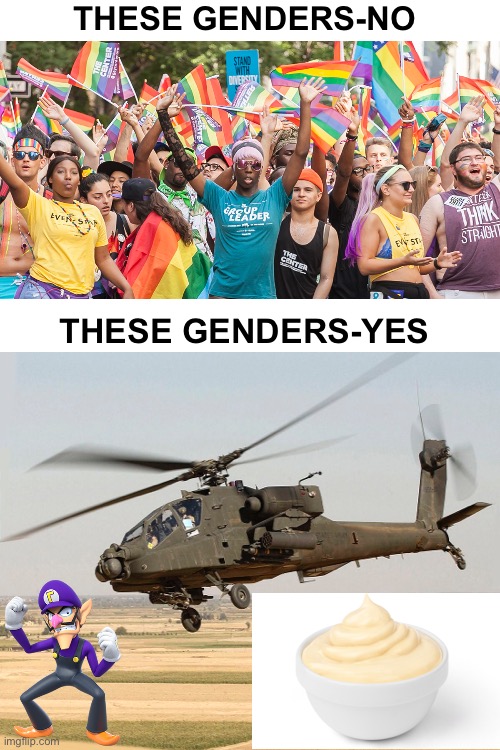 AHWM - Attack Helicopter,Waluigi,Mayonnaise, | THESE GENDERS-NO; THESE GENDERS-YES | image tagged in blank white template | made w/ Imgflip meme maker