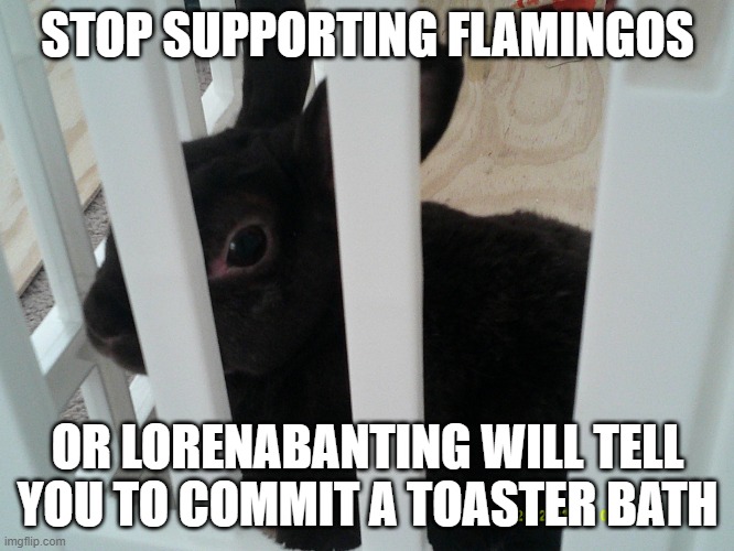 Lion Guard sucks | STOP SUPPORTING FLAMINGOS; OR LORENABANTING WILL TELL YOU TO COMMIT A TOASTER BATH | image tagged in coconut,memes,president_joe_biden | made w/ Imgflip meme maker