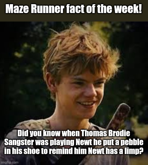 Maze Runner fact of the week! First one! | Maze Runner fact of the week! Did you know when Thomas Brodie Sangster was playing Newt he put a pebble in his shoe to remind him Newt has a limp? | image tagged in newt smile,maze runner,facts | made w/ Imgflip meme maker