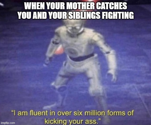 I am fluent in over six million forms of kicking your ass | WHEN YOUR MOTHER CATCHES YOU AND YOUR SIBLINGS FIGHTING | image tagged in i am fluent in over six million forms of kicking your ass | made w/ Imgflip meme maker