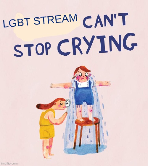 Riley  can’t stop crying | LGBT STREAM | image tagged in riley can t stop crying | made w/ Imgflip meme maker