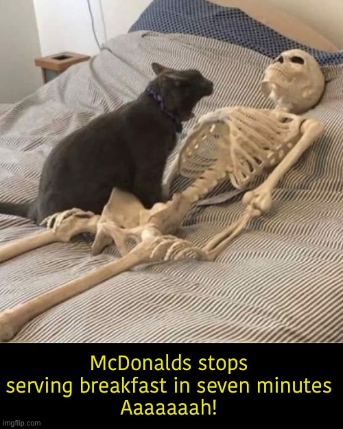 When you sleep in on a weekday | McDonalds stops serving breakfast in seven minutes
Aaaaaaah! | image tagged in funny memes,funny cat memes,sleeping in,mcdonalds | made w/ Imgflip meme maker
