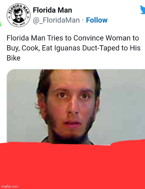 Florida man BTW this is not a repost. Got it from NY times. | image tagged in lizard,florida man,funny,florida,fun,strange | made w/ Imgflip meme maker
