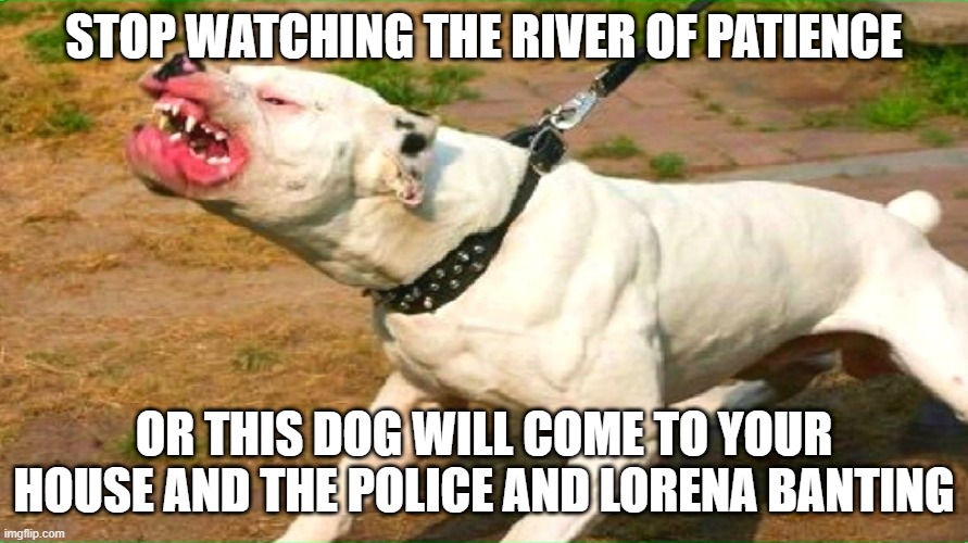 pit bull | STOP WATCHING THE RIVER OF PATIENCE; OR THIS DOG WILL COME TO YOUR HOUSE AND THE POLICE AND LORENA BANTING | image tagged in pit bull,memes,president_joe_biden | made w/ Imgflip meme maker