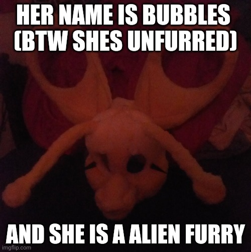 Big ears |  HER NAME IS BUBBLES 
(BTW SHES UNFURRED); AND SHE IS A ALIEN FURRY | made w/ Imgflip meme maker