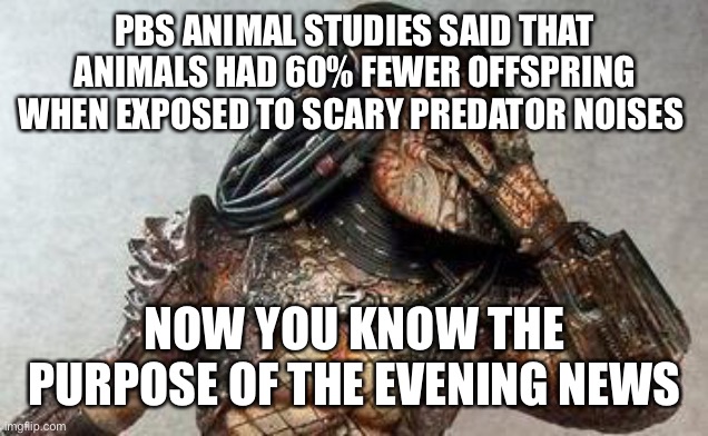 PBS spy on animals | PBS ANIMAL STUDIES SAID THAT ANIMALS HAD 60% FEWER OFFSPRING WHEN EXPOSED TO SCARY PREDATOR NOISES; NOW YOU KNOW THE PURPOSE OF THE EVENING NEWS | image tagged in predator facepalm,pbs,study,news,fake news | made w/ Imgflip meme maker