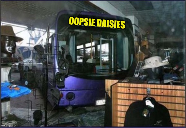 OOPSIE DAISIES | made w/ Imgflip meme maker