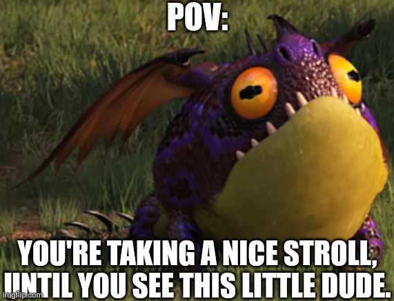 Rules: No ERPS. No rudeness, No OP OCs, No weaponized OCs, and No early roleplay endings | POV:; YOU'RE TAKING A NICE STROLL, UNTIL YOU SEE THIS LITTLE DUDE. | image tagged in httyd,how to train your dragon,roleplaying,dragon,animals | made w/ Imgflip meme maker