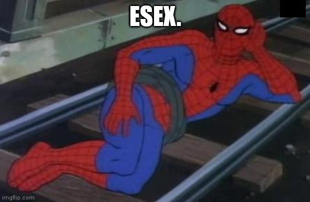 Sexy Railroad Spiderman | ESEX. | image tagged in memes,sexy railroad spiderman,spiderman | made w/ Imgflip meme maker