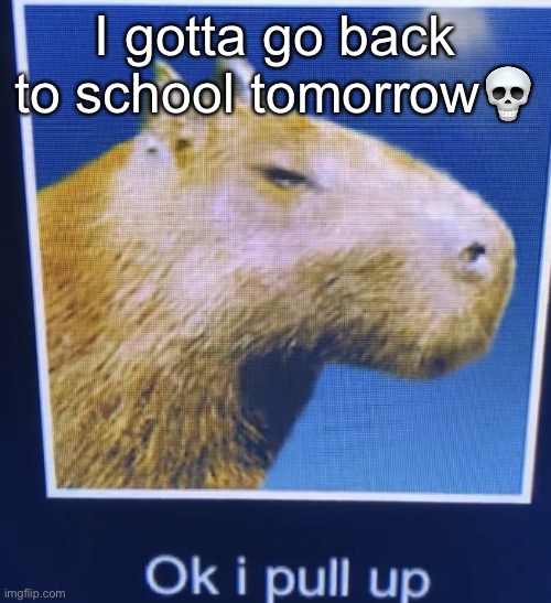 Cant have shit in Texas | I gotta go back to school tomorrow💀 | image tagged in ok i pull up | made w/ Imgflip meme maker