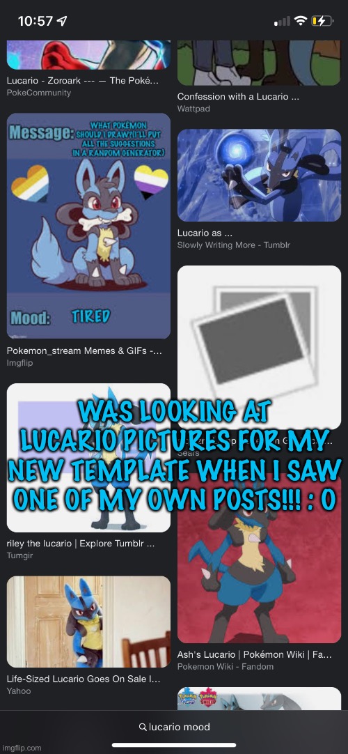 WAS LOOKING AT LUCARIO PICTURES FOR MY NEW TEMPLATE WHEN I SAW ONE OF MY OWN POSTS!!! : O | made w/ Imgflip meme maker