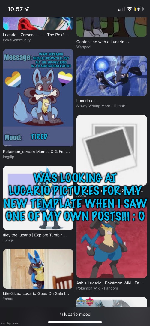 Lucario, Wiki