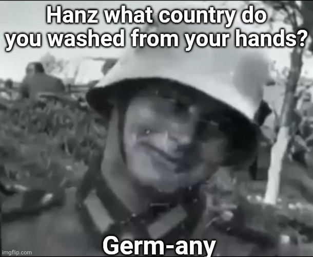 I'll see myself out | Hanz what country do you washed from your hands? Germ-any | image tagged in hanz the german soldier,bad puns | made w/ Imgflip meme maker