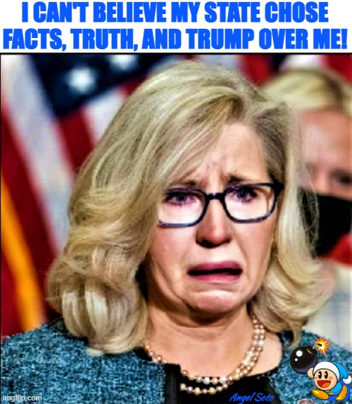 Liz Cheney cries over loss in Wyoming | I CAN'T BELIEVE MY STATE CHOSE
FACTS, TRUTH, AND TRUMP OVER ME! Angel Soto | image tagged in political meme,liz cheney,trump,wyoming,facts,truth | made w/ Imgflip meme maker