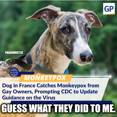 When it's all about, location, location, location! | PARADOX3713; GUESS WHAT THEY DID TO ME. | image tagged in memes,politics,monkeypox,cdc,beastiality,democrats | made w/ Imgflip meme maker