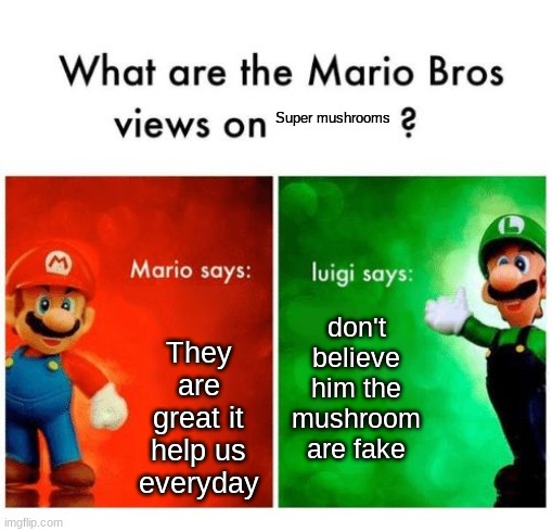 Mario vs luigi | Super mushrooms; They are great it help us everyday; don't believe him the mushroom are fake | image tagged in mario vs luigi,memes | made w/ Imgflip meme maker