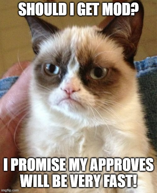 And I won't abuse it. | SHOULD I GET MOD? I PROMISE MY APPROVES WILL BE VERY FAST! | image tagged in memes,grumpy cat | made w/ Imgflip meme maker