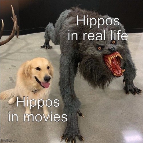 dog vs werewolf | Hippos in real life; Hippos in movies | image tagged in dog vs werewolf | made w/ Imgflip meme maker