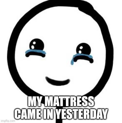 Happy tears  | MY MATTRESS CAME IN YESTERDAY | image tagged in happy tears | made w/ Imgflip meme maker