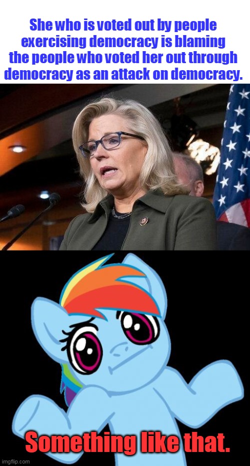 What I've learned from today's primary. | She who is voted out by people exercising democracy is blaming the people who voted her out through democracy as an attack on democracy. Something like that. | image tagged in liz cheney,memes,pony shrugs,delusional,politicians,rino | made w/ Imgflip meme maker