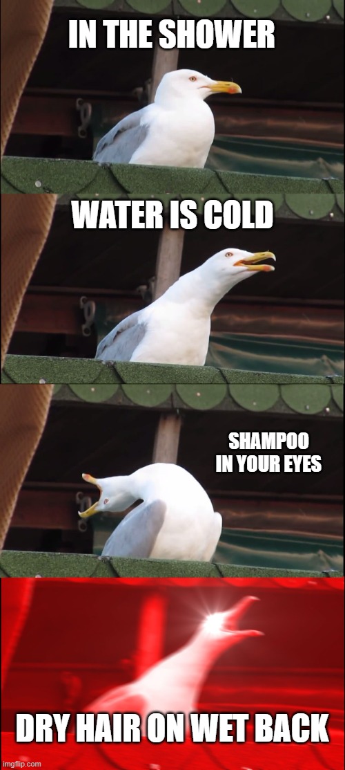 showers be like | IN THE SHOWER; WATER IS COLD; SHAMPOO IN YOUR EYES; DRY HAIR ON WET BACK | image tagged in memes,inhaling seagull | made w/ Imgflip meme maker