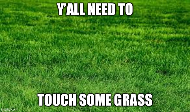 Go touch some grass. : r/memes