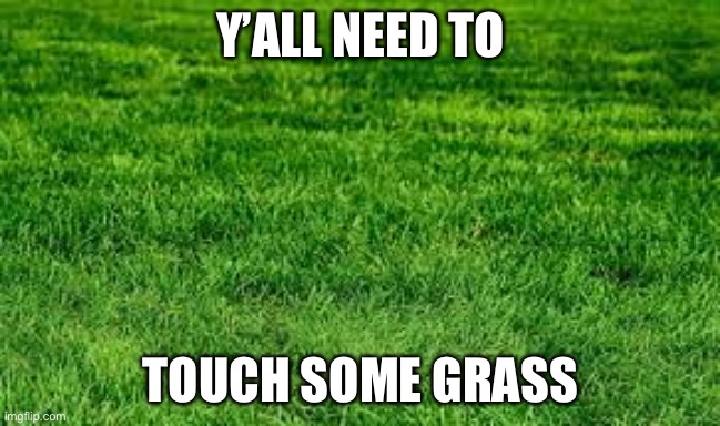 Funny Meme Gift Touch Grass Poster for Sale by kmcollectible