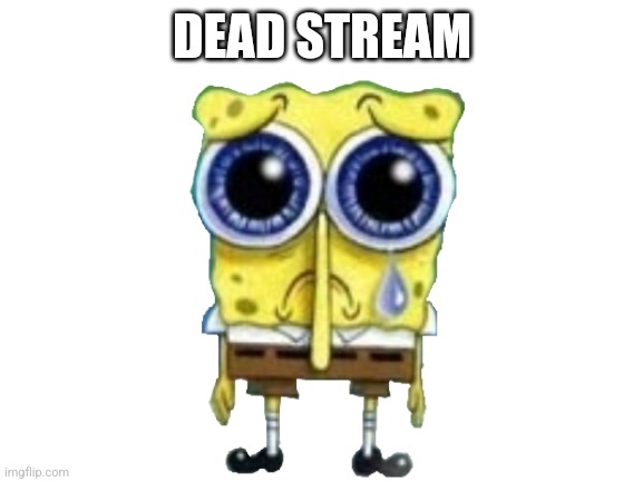 Rip | DEAD STREAM | image tagged in blank white template | made w/ Imgflip meme maker