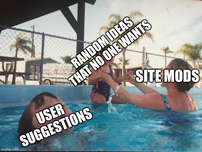 this feels rude ngl | RANDOM IDEAS THAT NO ONE WANTS; SITE MODS; USER SUGGESTIONS | image tagged in mother ignoring kid drowning in a pool | made w/ Imgflip meme maker