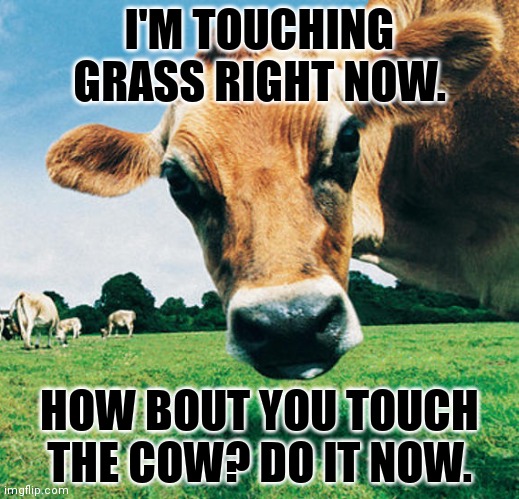 I'M TOUCHING GRASS RIGHT NOW. HOW BOUT YOU TOUCH THE COW? DO IT NOW. | made w/ Imgflip meme maker