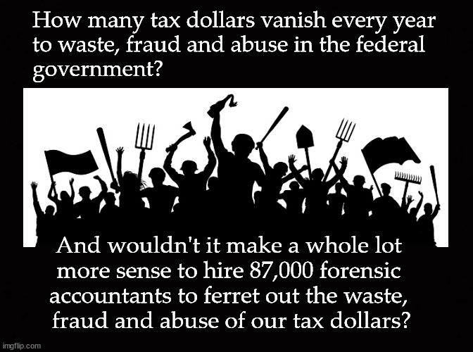 ending federal waste, fraud and abuse | How many tax dollars vanish every year
to waste, fraud and abuse in the federal
government? And wouldn't it make a whole lot 
more sense to hire 87,000 forensic 
accountants to ferret out the waste, 
fraud and abuse of our tax dollars? | image tagged in 87000 auditors,waste fraud and abuse | made w/ Imgflip meme maker