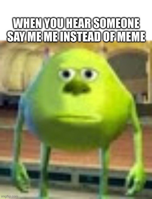 relatable if you socialize | WHEN YOU HEAR SOMEONE SAY ME ME INSTEAD OF MEME | image tagged in sully wazowski | made w/ Imgflip meme maker