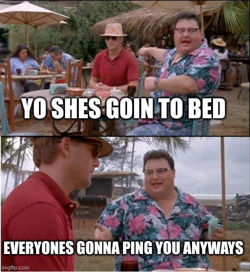 See Nobody Cares | YO SHES GOIN TO BED; EVERYONES GONNA PING YOU ANYWAYS | image tagged in memes,see nobody cares | made w/ Imgflip meme maker