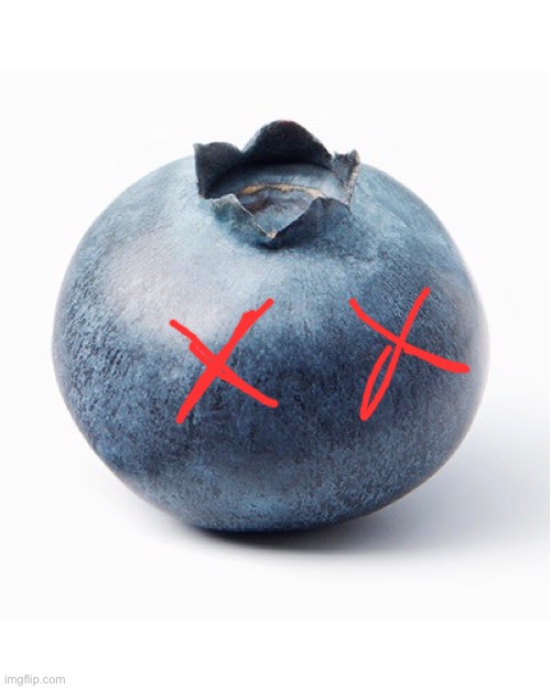 Blueberry | image tagged in blueberry | made w/ Imgflip meme maker