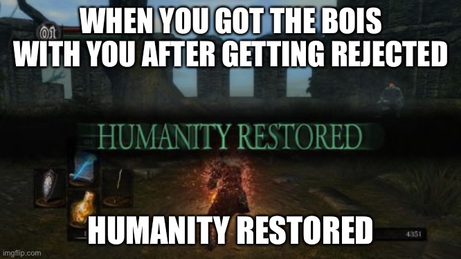 The bois after rejection | WHEN YOU GOT THE BOIS WITH YOU AFTER GETTING REJECTED; HUMANITY RESTORED | image tagged in humanity restored | made w/ Imgflip meme maker