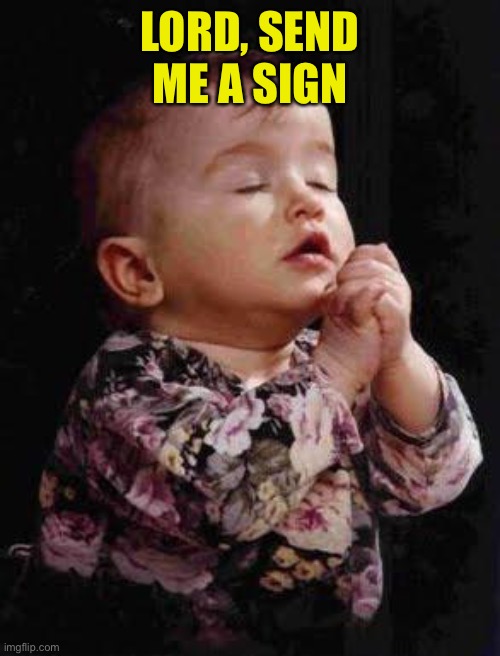 Baby Praying | LORD, SEND ME A SIGN | image tagged in baby praying | made w/ Imgflip meme maker
