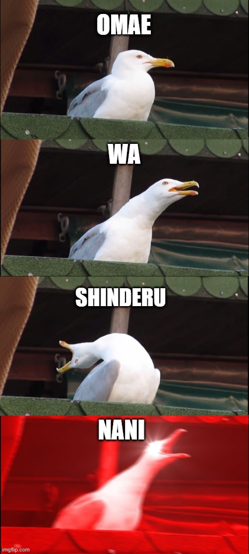 omae wa shinderu NANI | OMAE; WA; SHINDERU; NANI | image tagged in memes,inhaling seagull | made w/ Imgflip meme maker