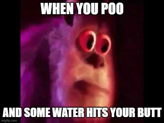 Eww |  WHEN YOU POO; AND SOME WATER HITS YOUR BUTT | image tagged in sully groan | made w/ Imgflip meme maker
