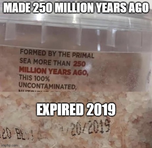 Lasted 250 million year |  MADE 250 MILLION YEARS AGO; EXPIRED 2019 | image tagged in damn,funny,old | made w/ Imgflip meme maker