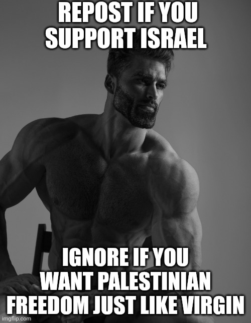 Giga Chad | REPOST IF YOU SUPPORT ISRAEL; IGNORE IF YOU WANT PALESTINIAN FREEDOM JUST LIKE VIRGIN | image tagged in giga chad | made w/ Imgflip meme maker