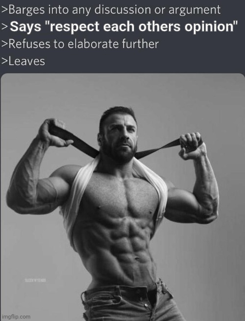 Chad meme | Says "respect each others opinion" | image tagged in chad meme | made w/ Imgflip meme maker