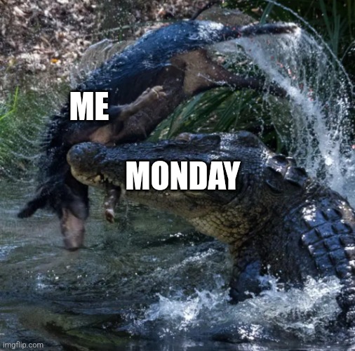 Crocodile attack | ME; MONDAY | image tagged in crocodile attack | made w/ Imgflip meme maker