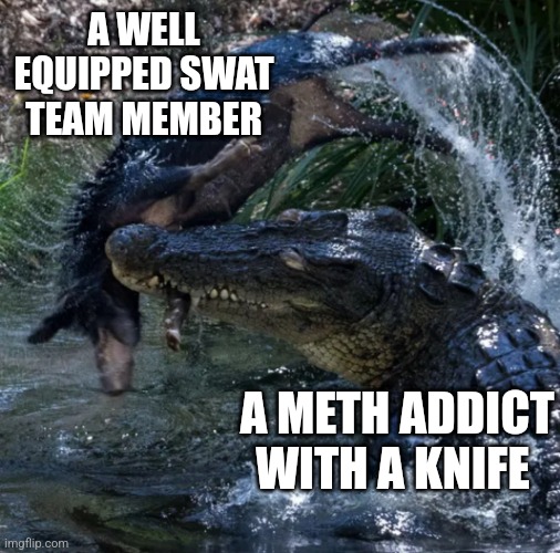 Playing 'Ready or Not' be like | A WELL EQUIPPED SWAT TEAM MEMBER; A METH ADDICT WITH A KNIFE | image tagged in crocodile attack | made w/ Imgflip meme maker
