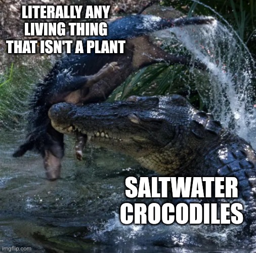 Crocodile attack | LITERALLY ANY LIVING THING THAT ISN'T A PLANT; SALTWATER CROCODILES | image tagged in crocodile attack | made w/ Imgflip meme maker