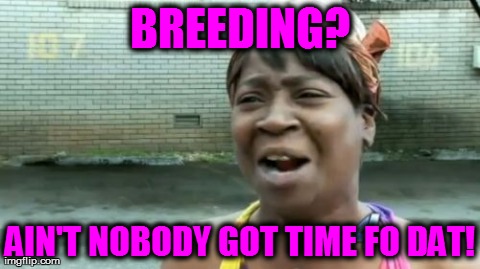 breeding? aint nobody got time fo dat! | BREEDING? AIN'T NOBODY GOT TIME FO DAT! | image tagged in memes,aint nobody got time for that | made w/ Imgflip meme maker