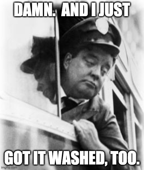 DAMN.  AND I JUST GOT IT WASHED, TOO. | made w/ Imgflip meme maker