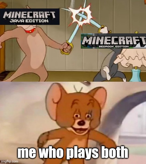 Minecraft Bedrock vs Minecraft Java | me who plays both | image tagged in tom and jerry cat dog fight,minecraft,minecraft memes | made w/ Imgflip meme maker