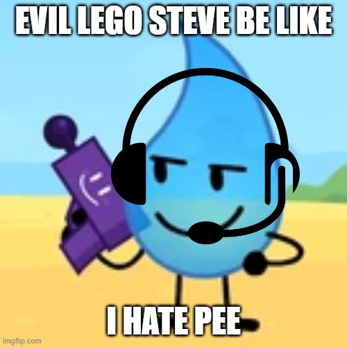 teardrop gaming | EVIL LEGO STEVE BE LIKE; I HATE PEE | image tagged in teardrop gaming | made w/ Imgflip meme maker